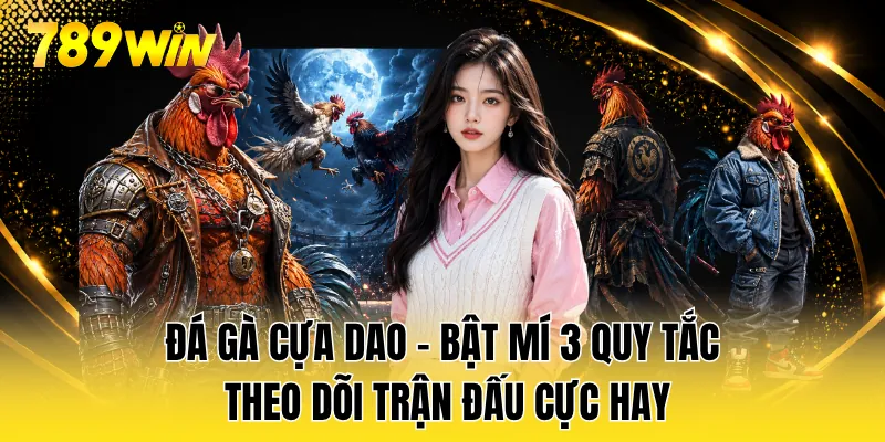 Đá Gà Cựa Dao - Bật Mí 3 Quy Tắc Theo Dõi Trận Đấu Cực Hay
