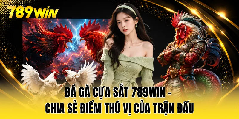Đá Gà Cựa Sắt 789WIN - Chia Sẻ Điểm Thú Vị Của Trận Đấu