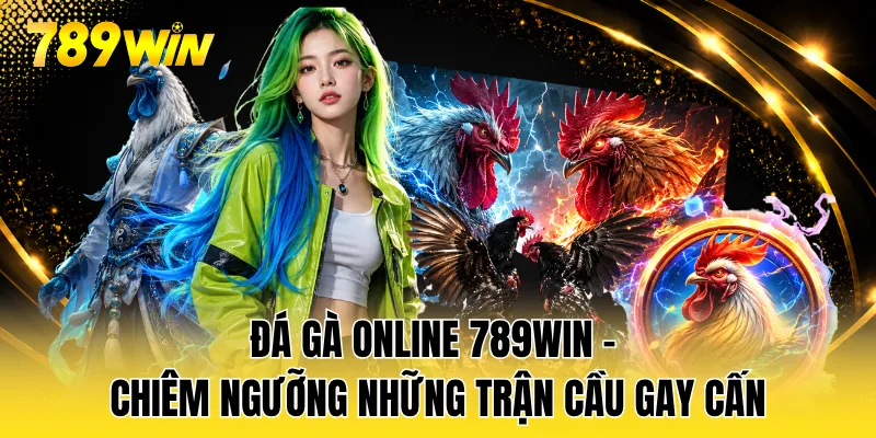 Đá Gà Online 789WIN - Chiêm Ngưỡng Những Trận Cầu Gay Cấn