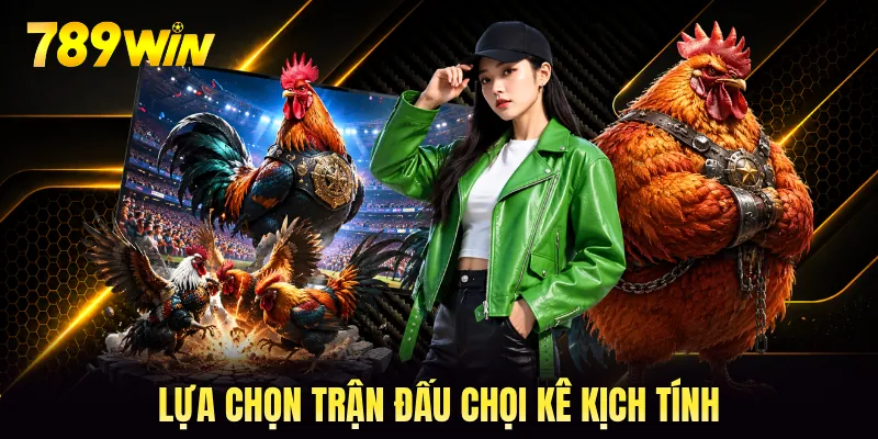 Lựa chọn trận đấu chọi kê kịch tính