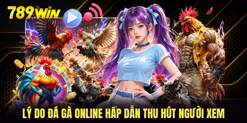 Lý do đá gà online hấp dẫn thu hút người xem Lý do đá gà online hấp dẫn thu hút người xem