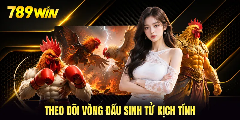 Theo dõi vòng đấu sinh tử kịch tính Theo dõi vòng đấu sinh tử kịch tính